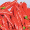 Chilli Inferno 100mm