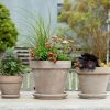 SAUCER GREIGE 13CM