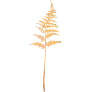 Fern Stake Rust 2 L