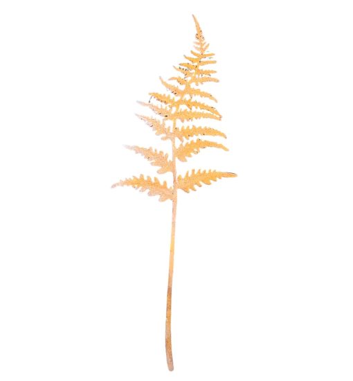 Fern Stake Rust 2 L