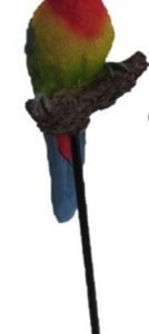 Eastern Rosella On Stick