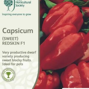 Seeds RHS Capsicum Sweet Redskin