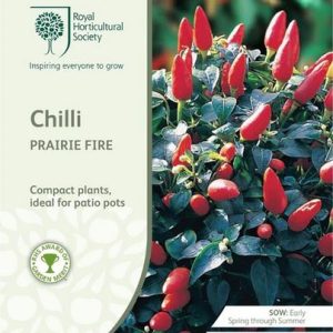 Seeds RHS Chilli Prairie Fire