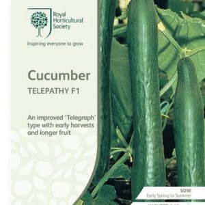 Seeds RHS Cucumber Telepathy F1