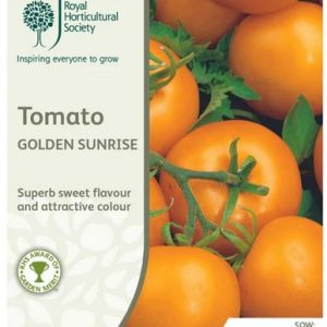 Seed RHS Tomato Golden Sunrise