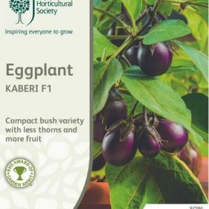 Seeds RHS Eggplant Kaberi