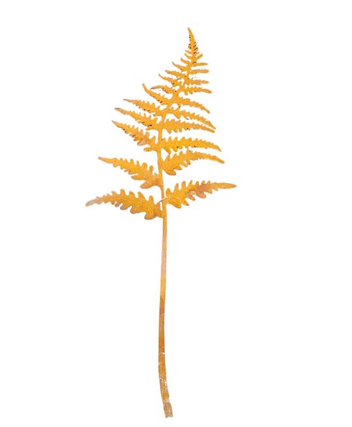 Fern Stake Rust XL