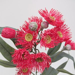 Eucalyptus Flower Spray Red 16"