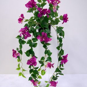 Bougainvillea Hanging Bush Purple 82cm