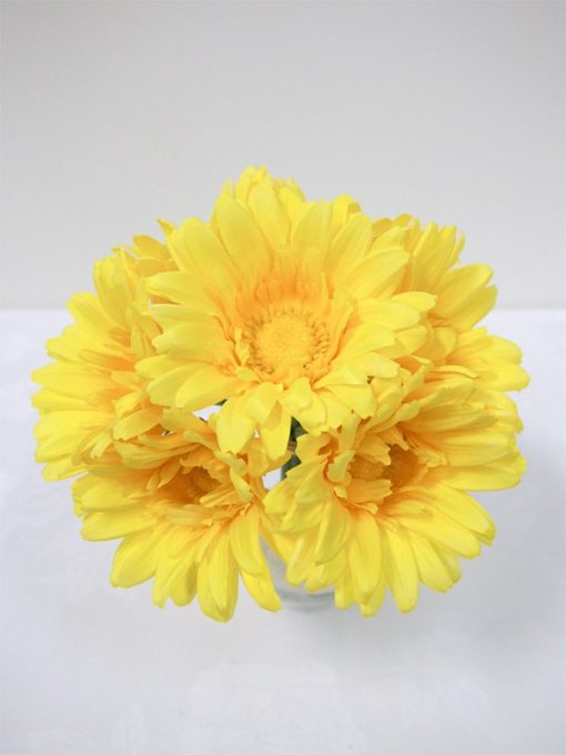 Gerbera Bundle Yellow 25cm