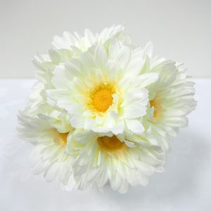 Gerbera Bundle White 25cm