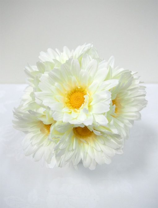 Gerbera Bundle White 25cm