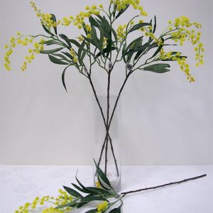 Wattle Spray 64cm