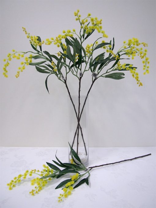 Wattle Spray 64cm