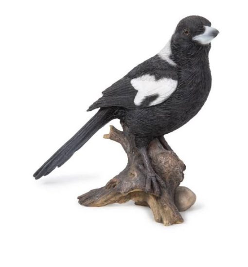 Magpie on Stump