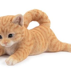 Playful Kitten Laying Ginger