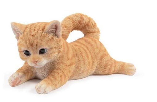 Playful Kitten Laying Ginger