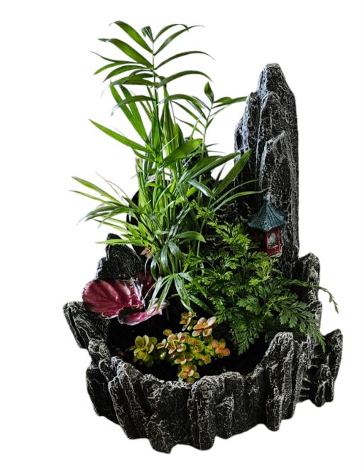 Indoor Garden Novelty A