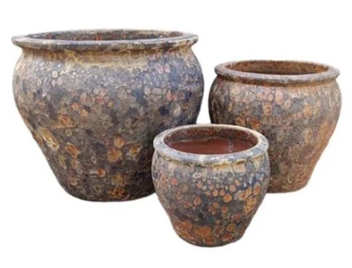 Pot Fossil Mossman Planter Rust A