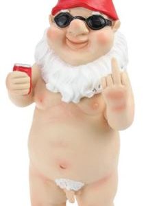 Standing Naked Gnome Flipping The Bird Red Hat 29cm