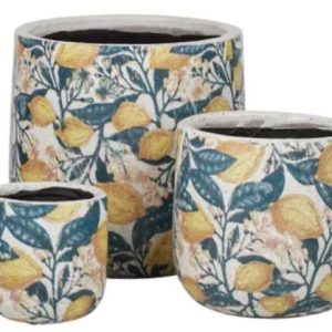 Pot Limones Medium B