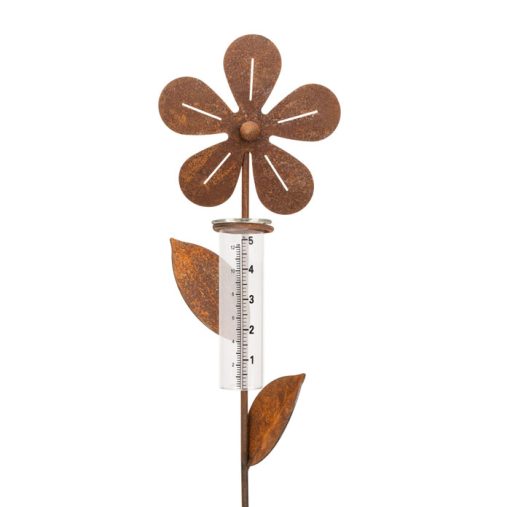 Rain Gauge Flower Rust