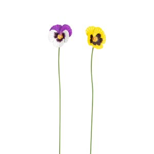 Pansy 60cm stake
