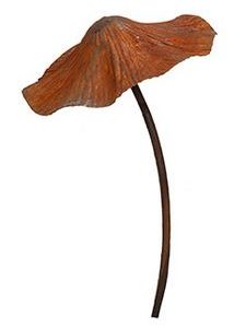 Mushroom Rust Single Metal Large
