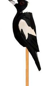 Magpie Timber Stake