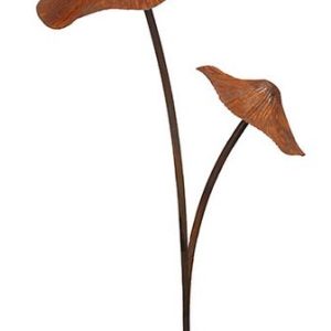 Mushroom Rust Double Metal