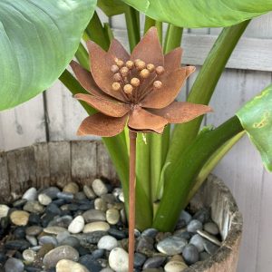 LARGE RUSTIC LILY PSJH99292
