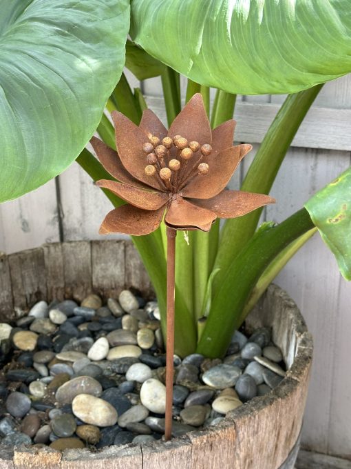 LARGE RUSTIC LILY PSJH99292