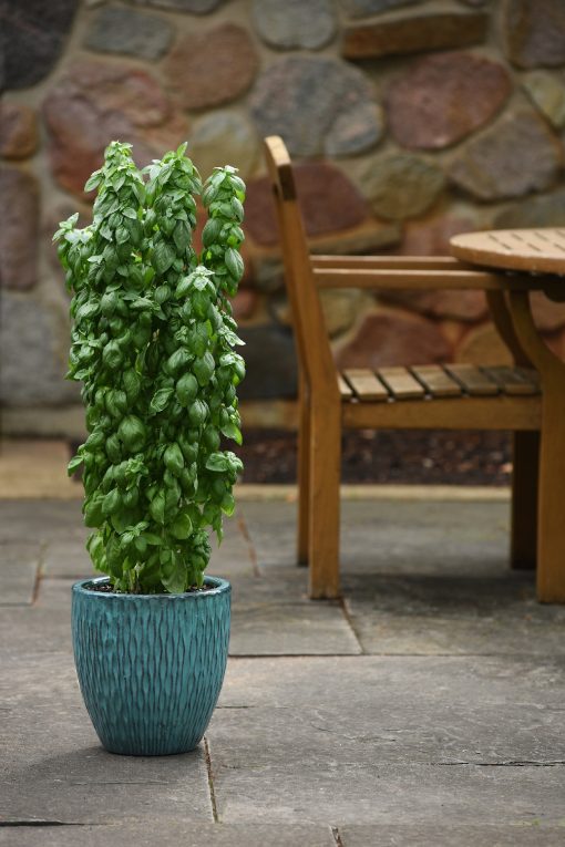 Basil Emerald Tower 120mm