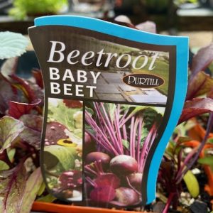 Beetroot Baby Beet Punnet