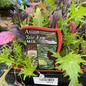 Asian Stir Fry Mix Punnet