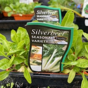 Silverbeet Seasonal Variety Punnet
