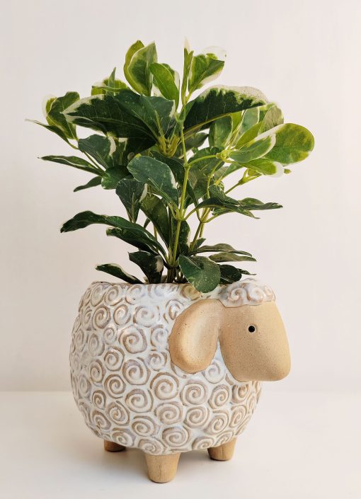 Sheep Planter White & Sand Med 13cm