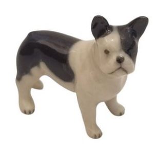 Mini French Bulldog