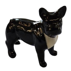 Mini French Bulldog Black