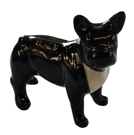 Mini French Bulldog Black