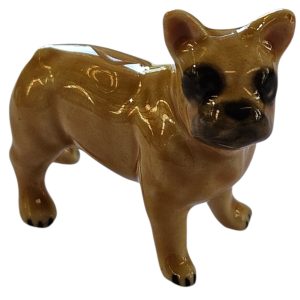 Mini French Bulldog Brown
