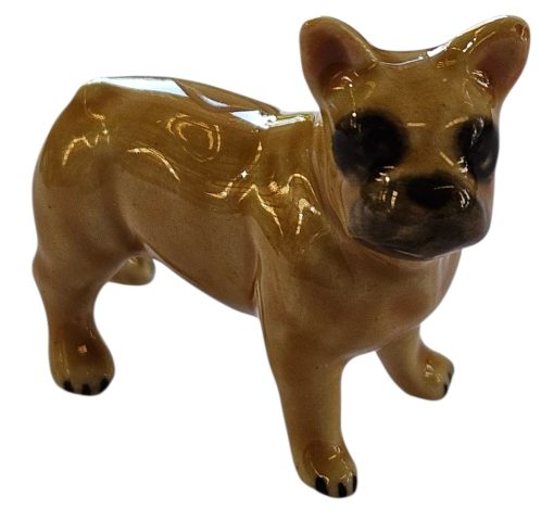 Mini French Bulldog Brown