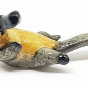 Platypus On Back Ceramic