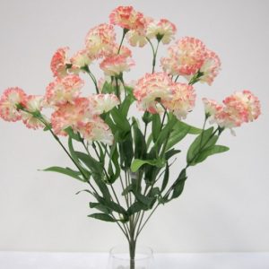 Carnation Bush Cream/Pink 48cm