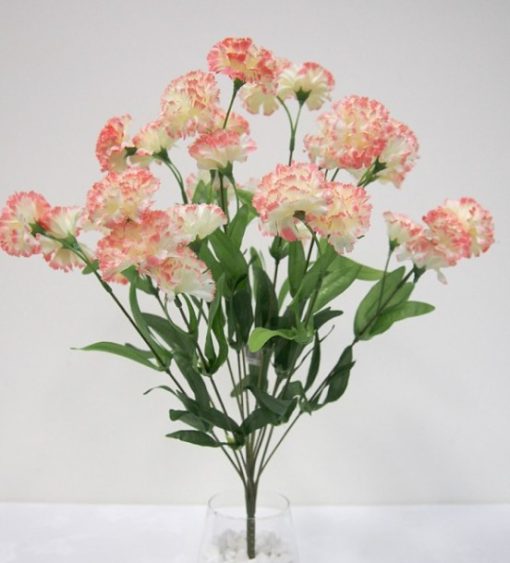Carnation Bush Cream/Pink 48cm