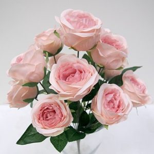 Rose Bush Pink