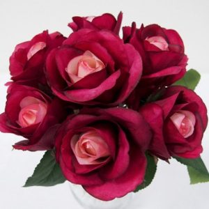 Rose Bush Purple 7 Flowers