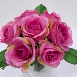 Rose Bush Mauve 7 Flowers