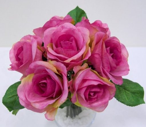 Rose Bush Mauve 7 Flowers