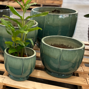 Primo FOG Egg Pot Green Med